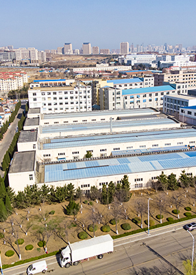 专业厂家 实力雄厚